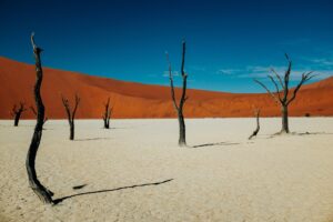 Namibia Sossusvlei landscape