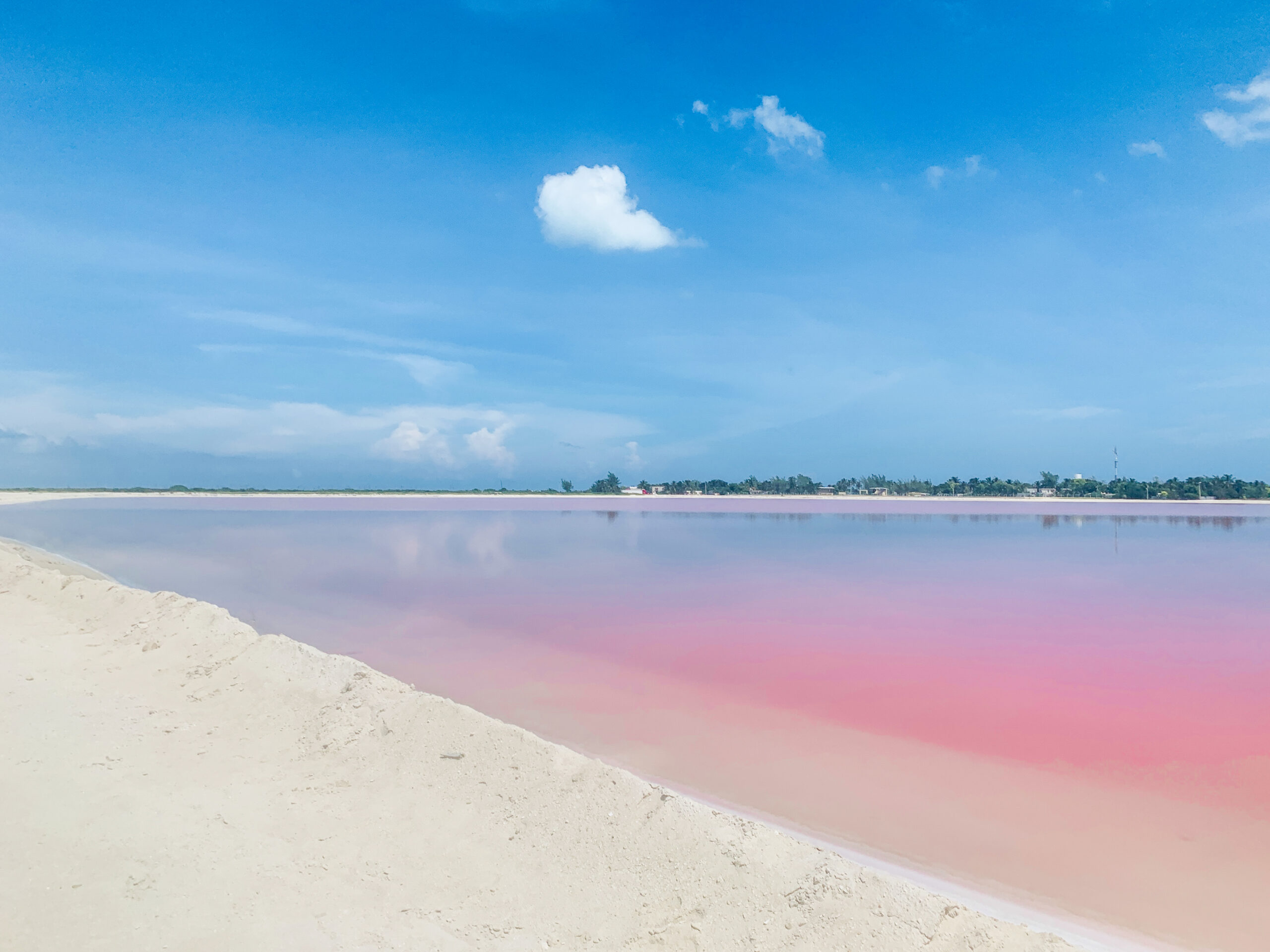 pink-lake-las-coloradas