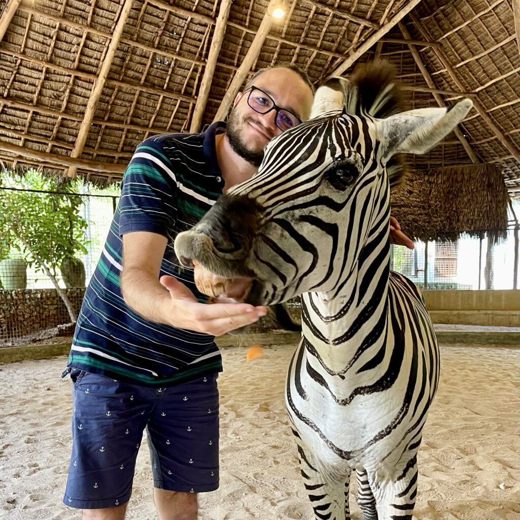 Zebra in Zanzibar