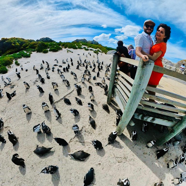 Cuplu înconjurat de pinguini în Cape Town