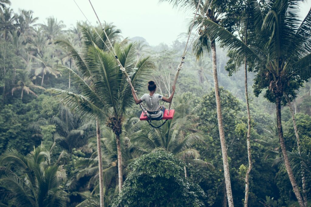 bali swing rice terrace