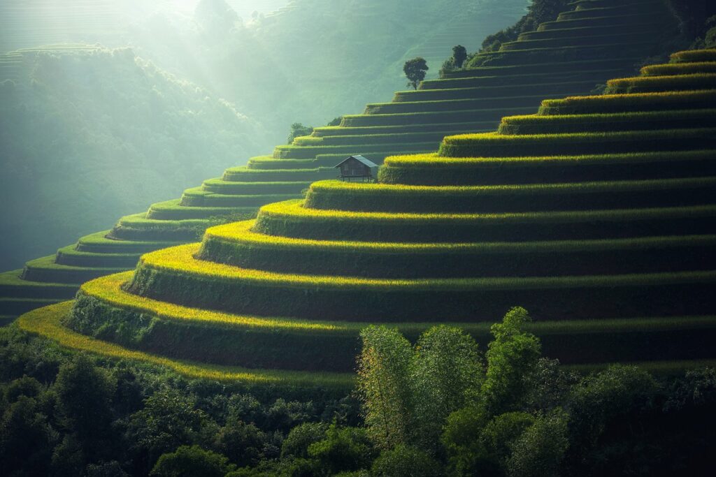 Bali Rice Terraces